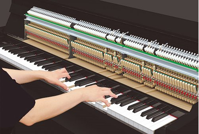 1. 향상된 터치감과 새로운 페달을 적용한 액션으로 더욱 실감나는 어쿠스틱 그랜드 피아노 느낌 제공