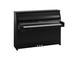 Product image of B10TC3 (Polished Ebony Chrome)