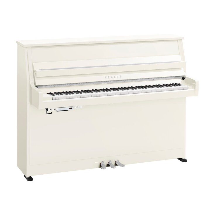 Product image of B10TC3 (Polished White Chrome)