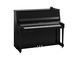 Product image of B30SC3 (Polished Ebony Chrome)