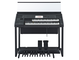 Front view of the Yamaha Electone ELS-03XR