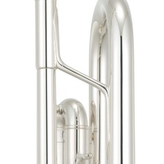 브레이스 디자인 및 위치