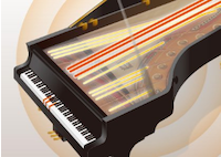 클라비노바 시리즈는 피아노의 기본을 충실하게 만족시켜 드립니다. 